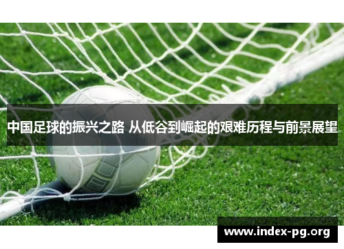 中国足球的振兴之路 从低谷到崛起的艰难历程与前景展望 中国足球的振兴之路 从低谷到崛起的艰难历程与前景展望