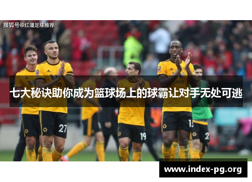 七大秘诀助你成为篮球场上的球霸让对手无处可逃 七大秘诀助你成为篮球场上的球霸让对手无处可逃