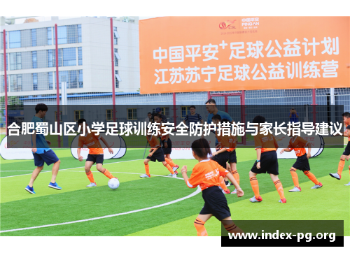 合肥蜀山区小学足球训练安全防护措施与家长指导建议 合肥蜀山区小学足球训练安全防护措施与家长指导建议