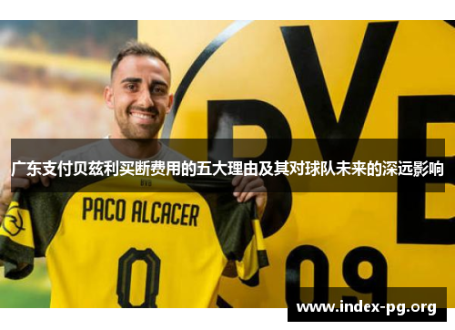 广东支付贝兹利买断费用的五大理由及其对球队未来的深远影响 广东支付贝兹利买断费用的五大理由及其对球队未来的深远影响