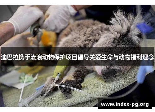 迪巴拉携手流浪动物保护项目倡导关爱生命与动物福利理念 迪巴拉携手流浪动物保护项目倡导关爱生命与动物福利理念